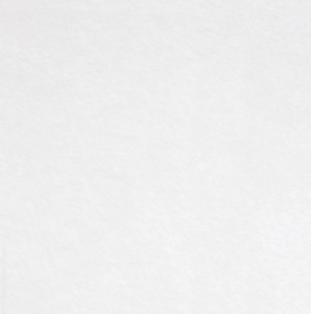 Заготовка из фетра Felt 600